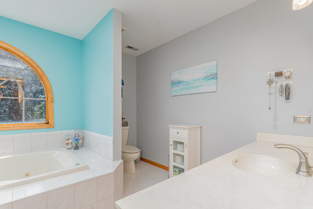 13741 Elizabeth Lane Mokena, IL 60448 - Photo 18 of 29 a bathroom with a sink and a bathtub