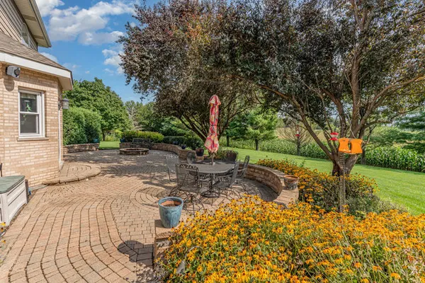 a view of a backyard with plants and tree