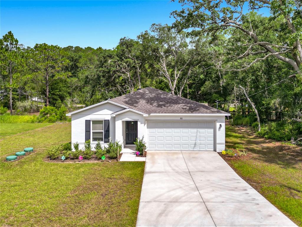 50 Bay Road Ocklawaha, FL 32179 - Photo 5 of 51