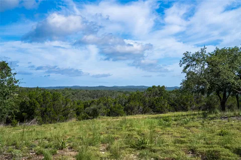 a view of grassy field with trees