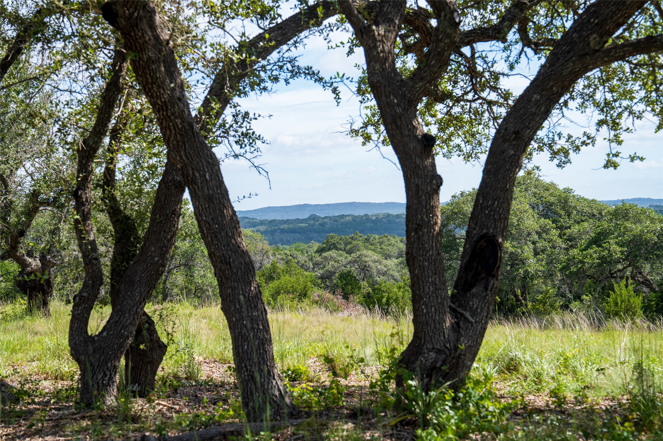 41 Pump Station Road Wimberley, TX 78676 - Photo 9 of 18 View of mountain backdrop with a heavily wooded area