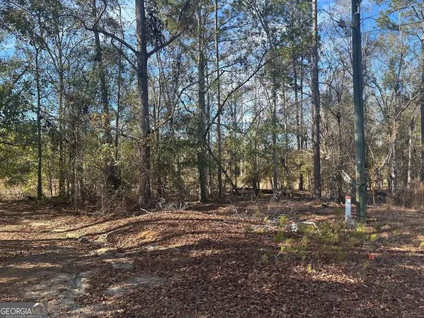 $9,500 | 0 Tommie Drive, Vidalia, GA 30474