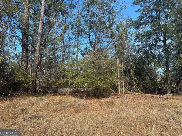 $9,500 | 0 Tommie Drive, Vidalia, GA 30474