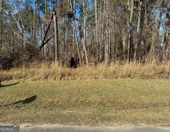$9,500 | 0 Tommie Drive, Vidalia, GA 30474