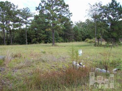 3 Ellis Road Southeast Supply, NC 28462 - Photo 1 of 6 Primary Photo