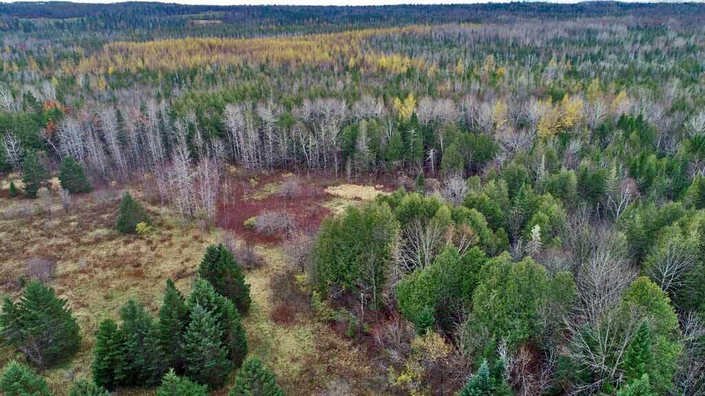 Lot 18 U.S. Rte 2 Newport, ME 04953 - Photo 27 of 62