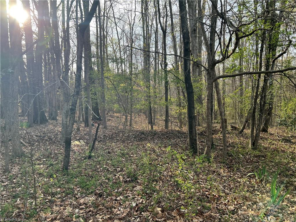 2183 Rowe Road Lexington, NC 27295 - Photo 41 of 42 With 3.51 acres to work with this property has a great mix of wooded area and cleared yard for endless possibilities.