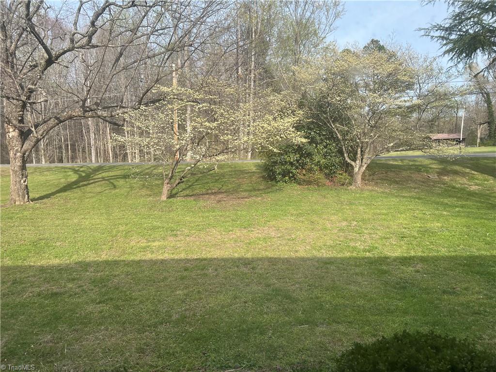 2183 Rowe Road Lexington, NC 27295 - Photo 6 of 42 Your view of the Dogwood and Pecan trees from the living room windows.