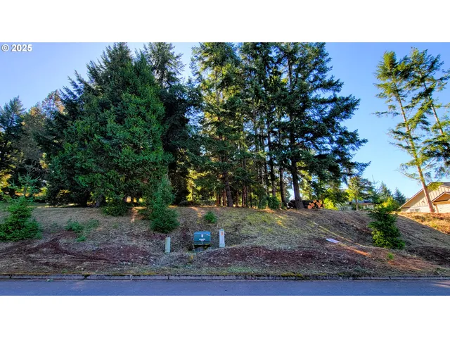 a black and white photo of a house
