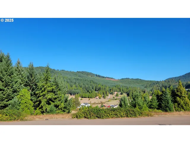 a black and white photo of a mountain