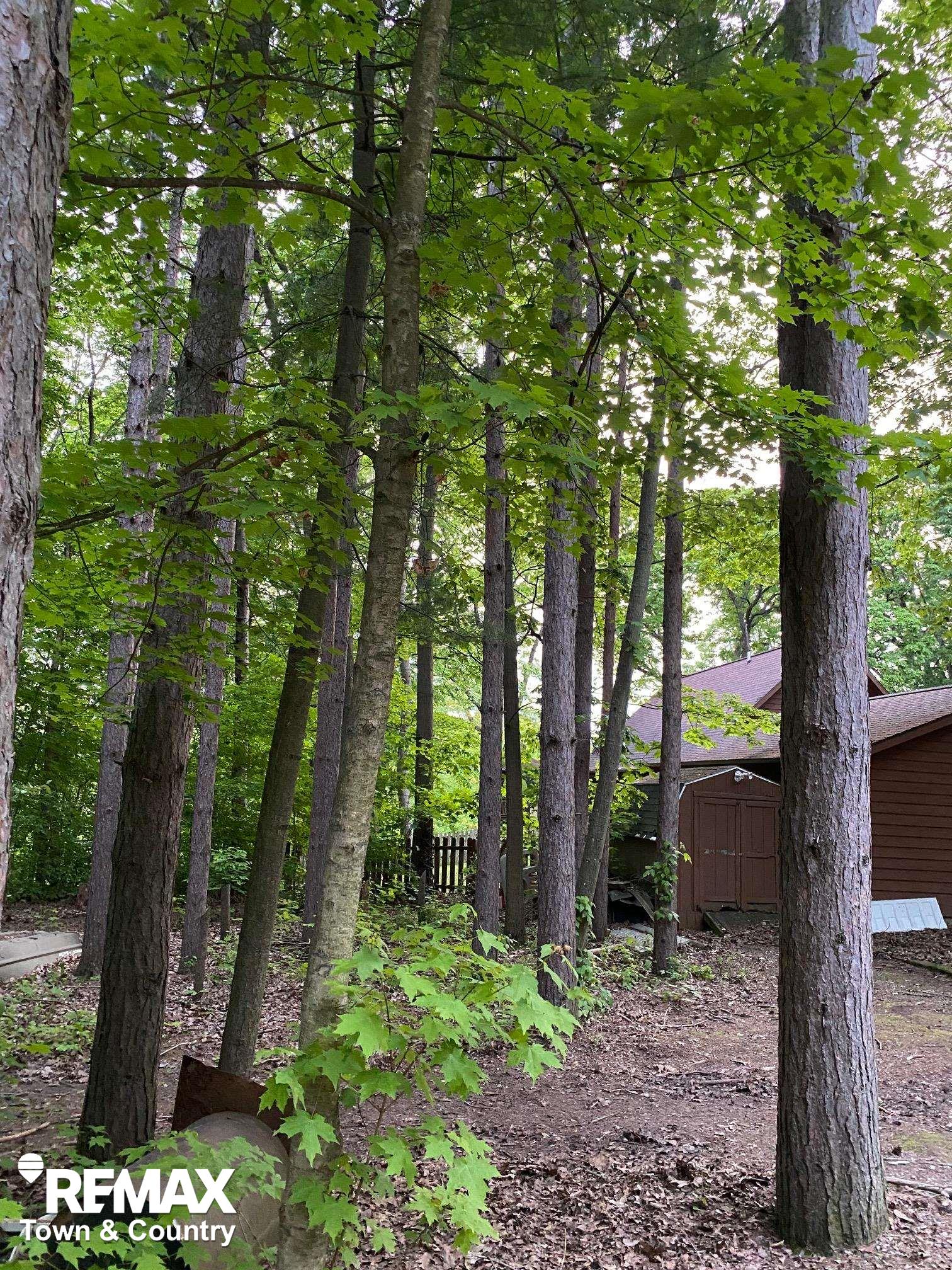 2855 Flint River Road Lapeer, MI 48446 - Photo 42 of 46 50177030-f36676ce-b4b0-4484-ace1-2600f2367416.JPG