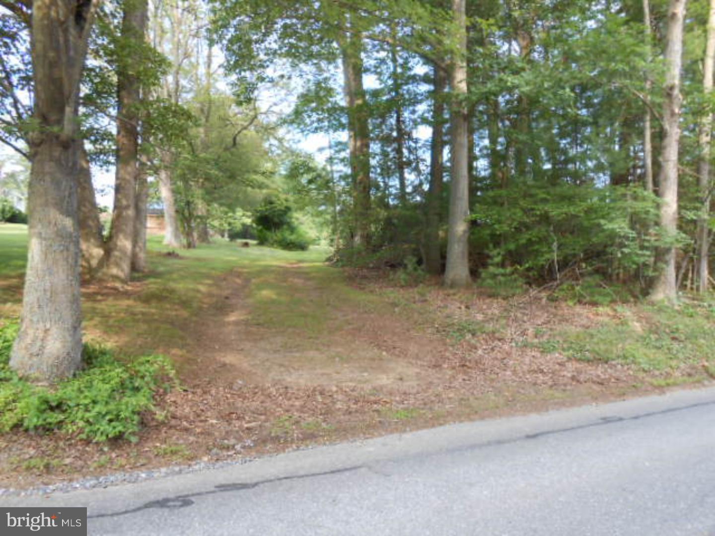 0 Trumbo Road Pine Grove, PA 17963 - Photo 1 of 3 Gallery Image 1
