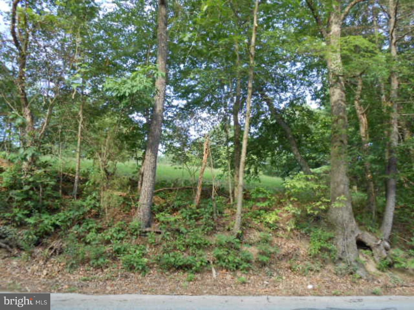 0 Trumbo Road Pine Grove, PA 17963 - Photo 2 of 3 View 2