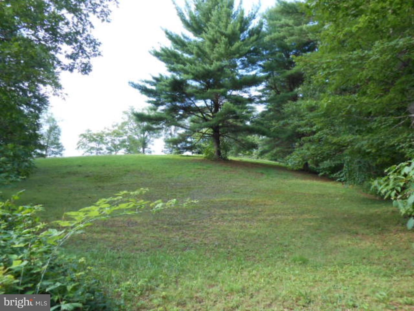 0 Trumbo Road Pine Grove, PA 17963 - Photo 3 of 3 View 2