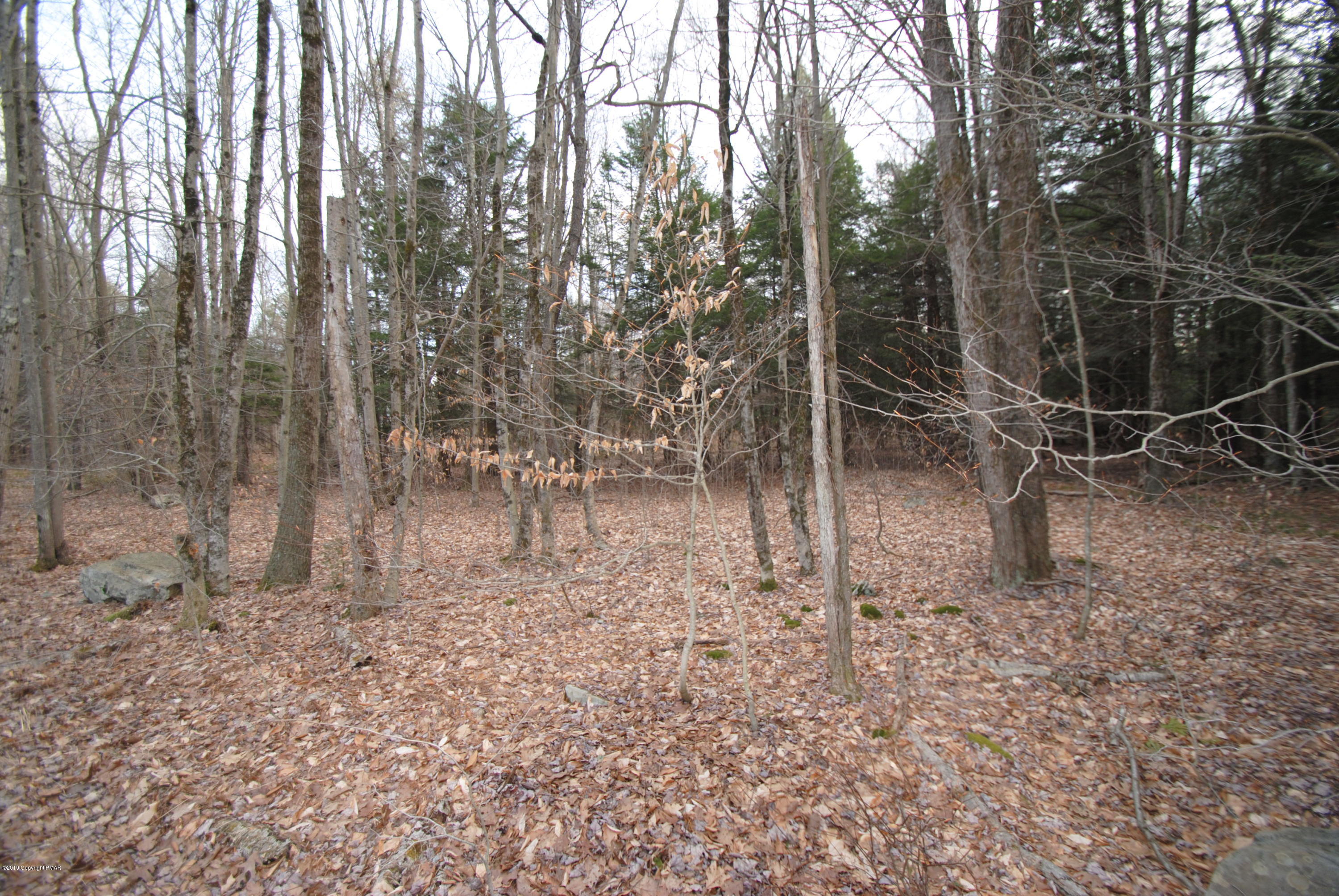 1126 Sawmill Road Pocono Lake, PA 18347 - Photo 10 of 18 Wagner Forest Community (9)