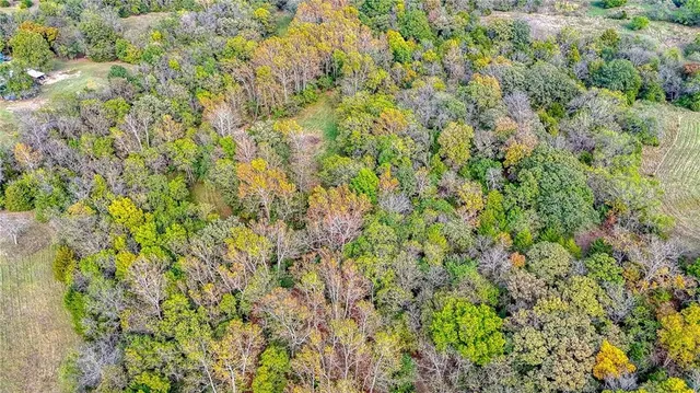 $650,000 | Northwest 1251st Road, Holden, MO 64040