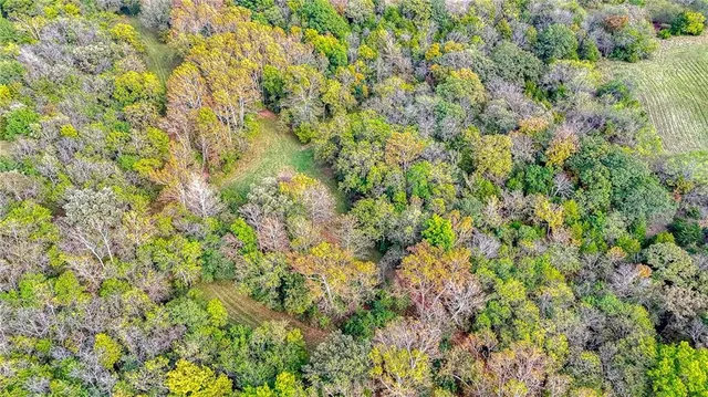 $650,000 | Northwest 1251st Road, Holden, MO 64040