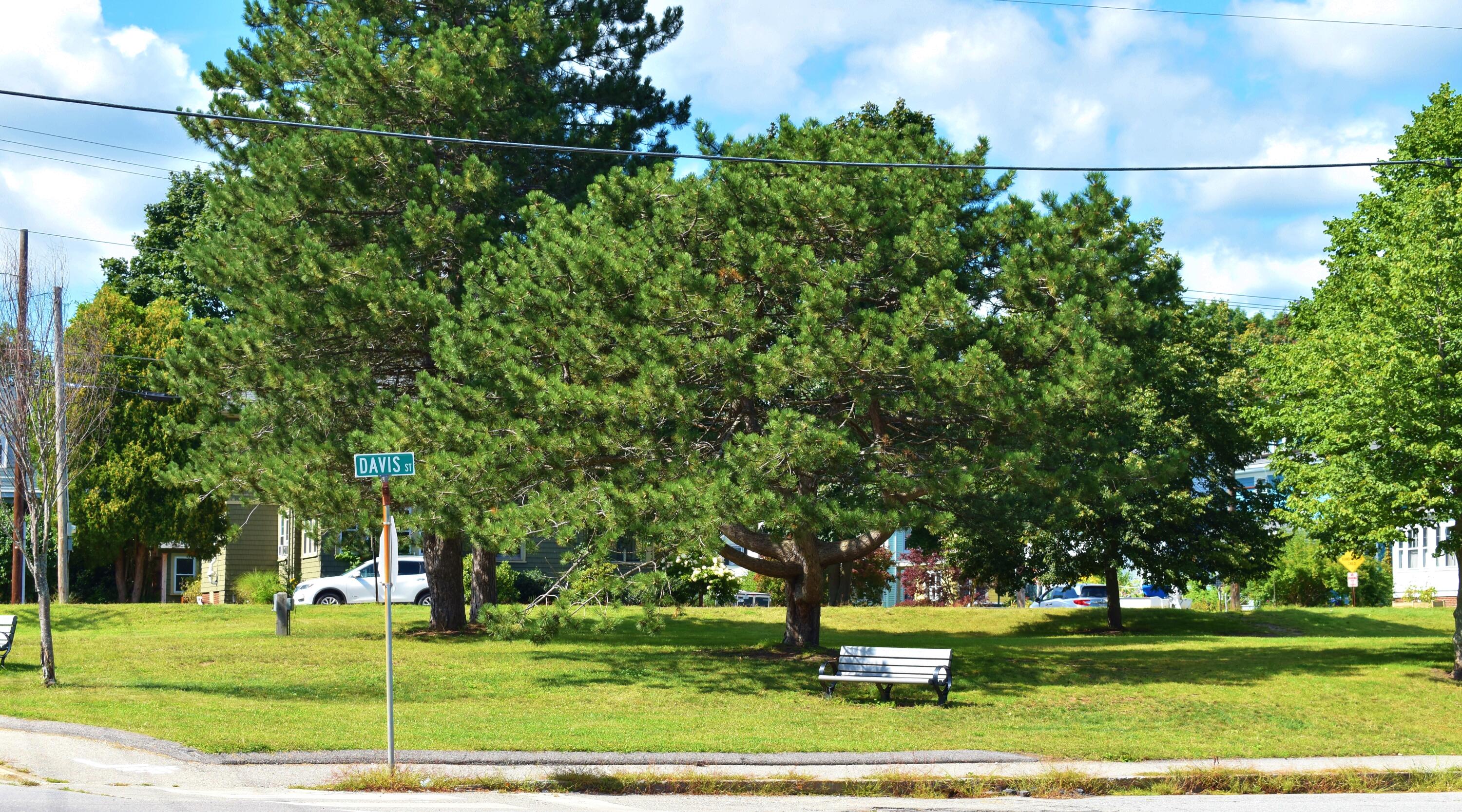 432 Cottage Road South Portland, ME 04106 - Photo 52 of 52 2020-12-07 001 2020-12-07 069
