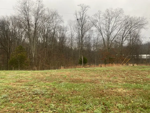 a view of outdoor space with trees