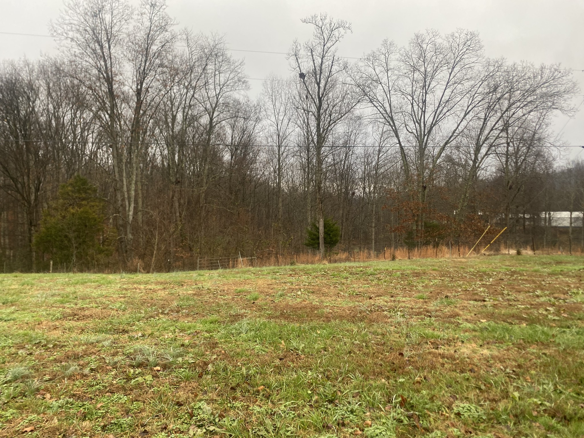 575 Simmons Cemetery Road Quebeck, TN 38579 - Photo 4 of 16 a view of outdoor space with trees