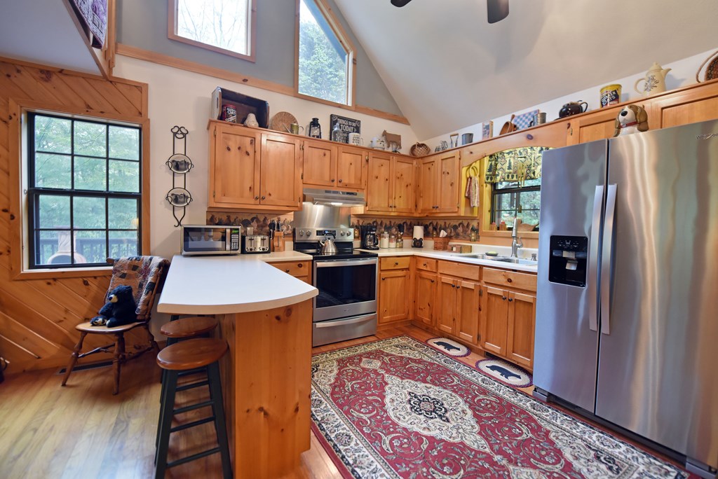 101 Allison Ridge Road Blairsville, GA 30512 - Photo 8 of 51 Gallery Image 8