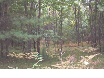 40th Street Branch, MI 49402 - Photo 1 of 5 Primary Photo