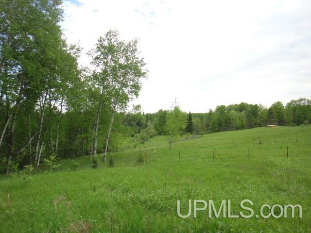 Tbd Townline Road Crystal Falls, MI 49920 - Photo 7 of 20