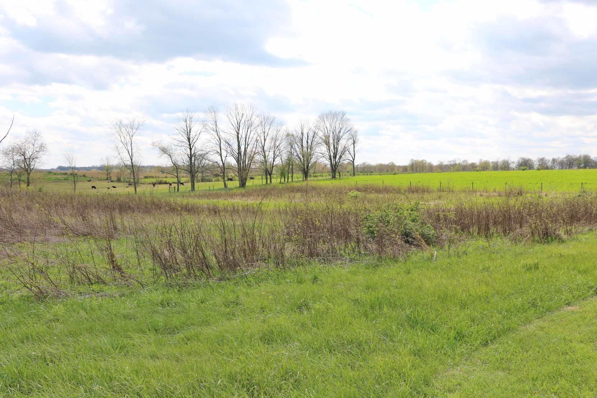 18640 Upper Fredericktown Amity Road Butler, OH 44822 - Photo 20 of 25