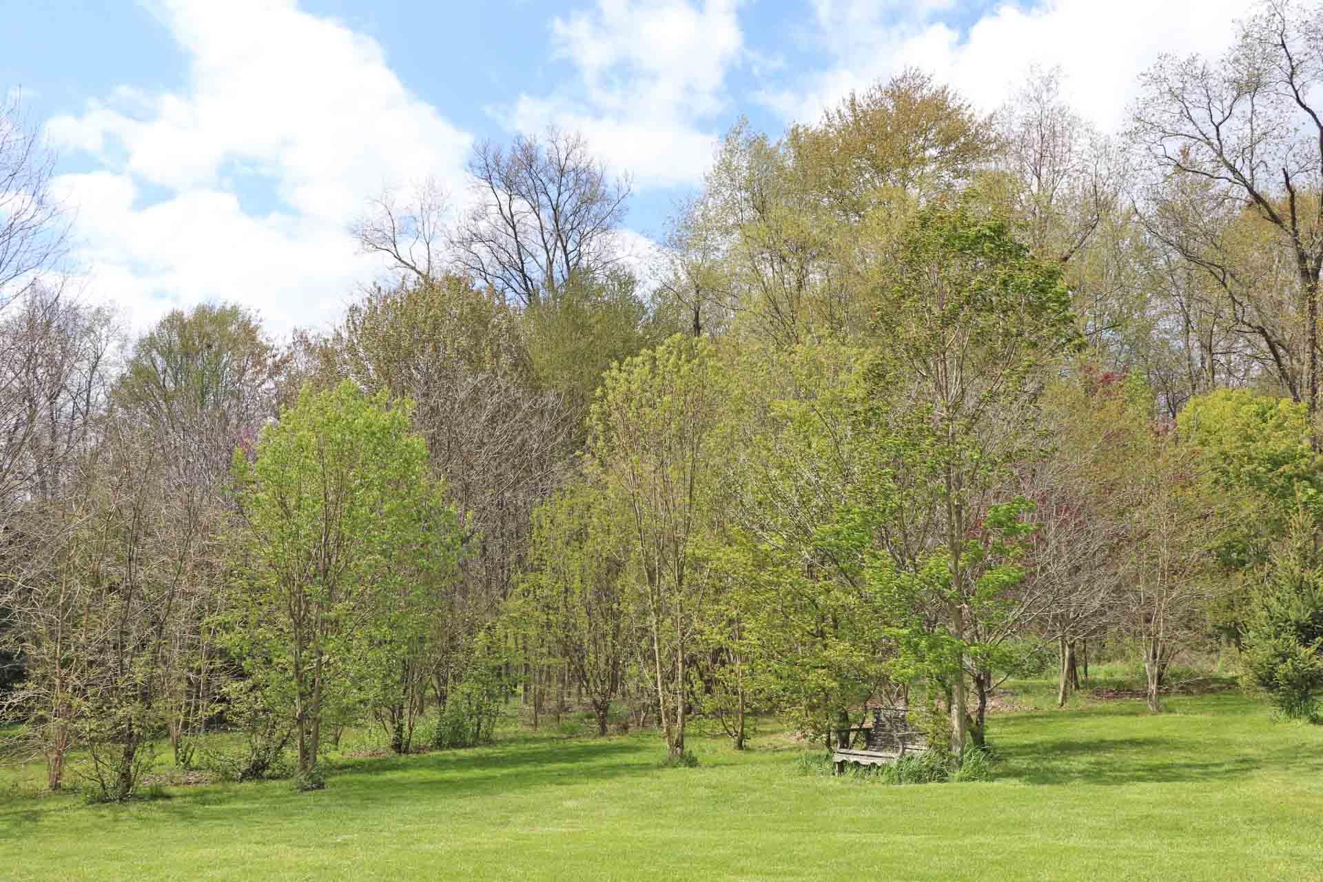 18640 Upper Fredericktown Amity Road Butler, OH 44822 - Photo 21 of 25