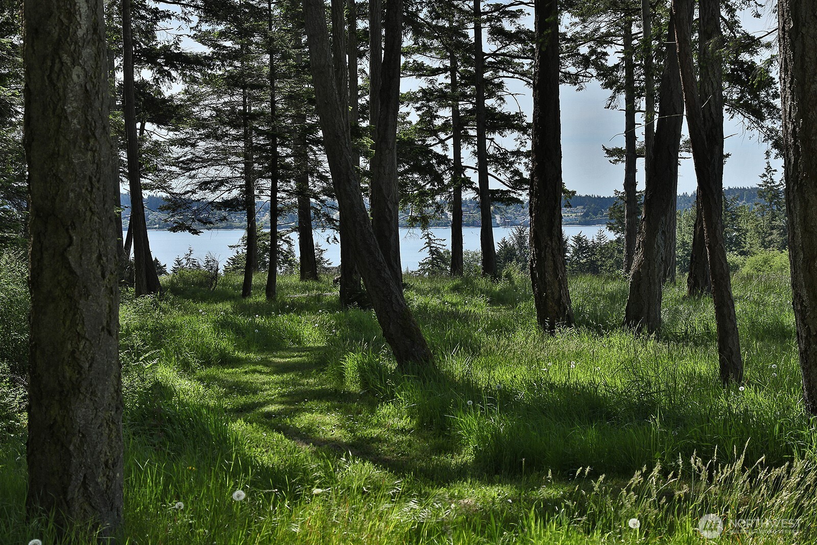 1261 Arnold Road Oak Harbor, WA 98277 - Photo 30 of 40 Gallery Image 30