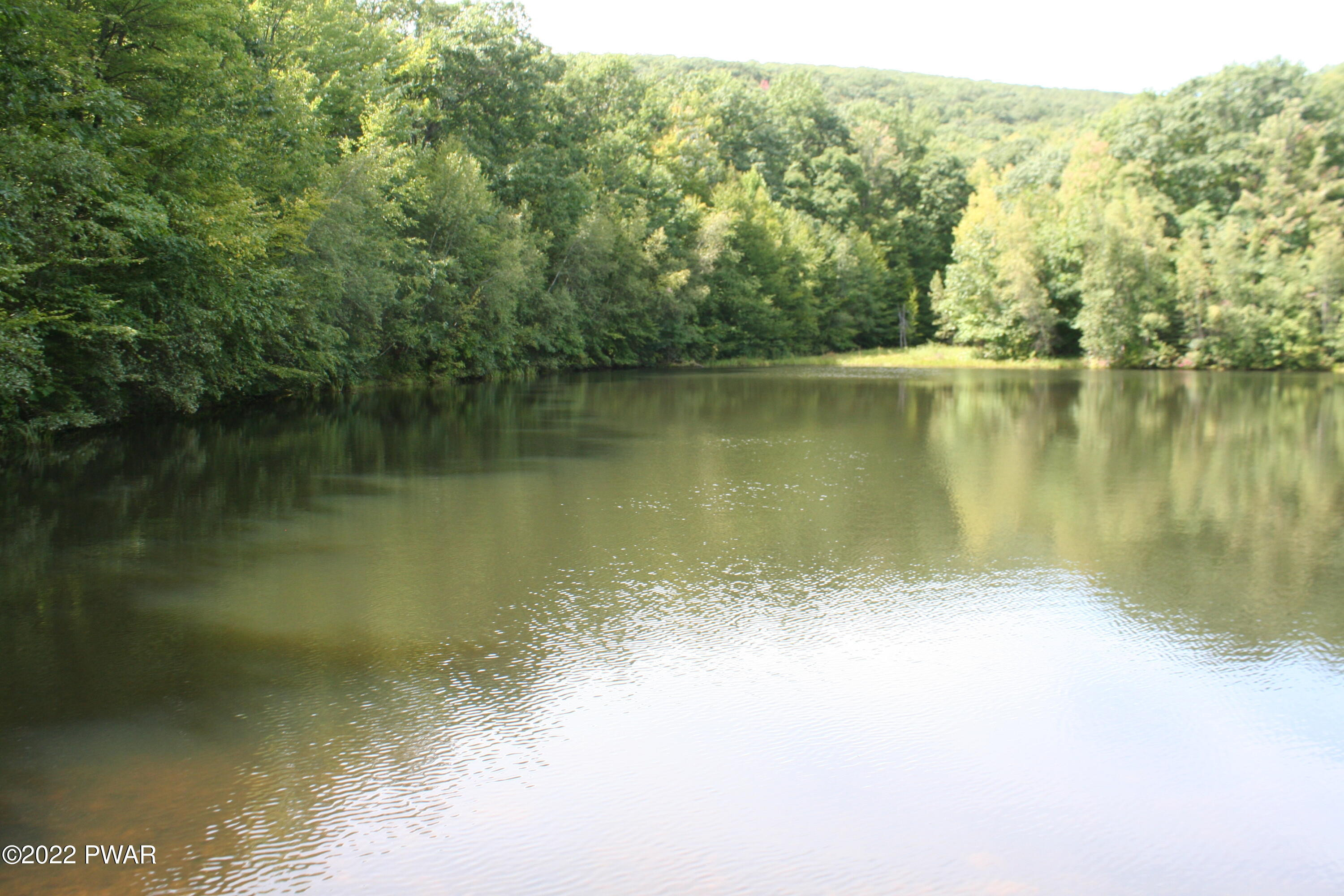 Oak Lane Waymart, PA 18472 - Photo 5 of 9