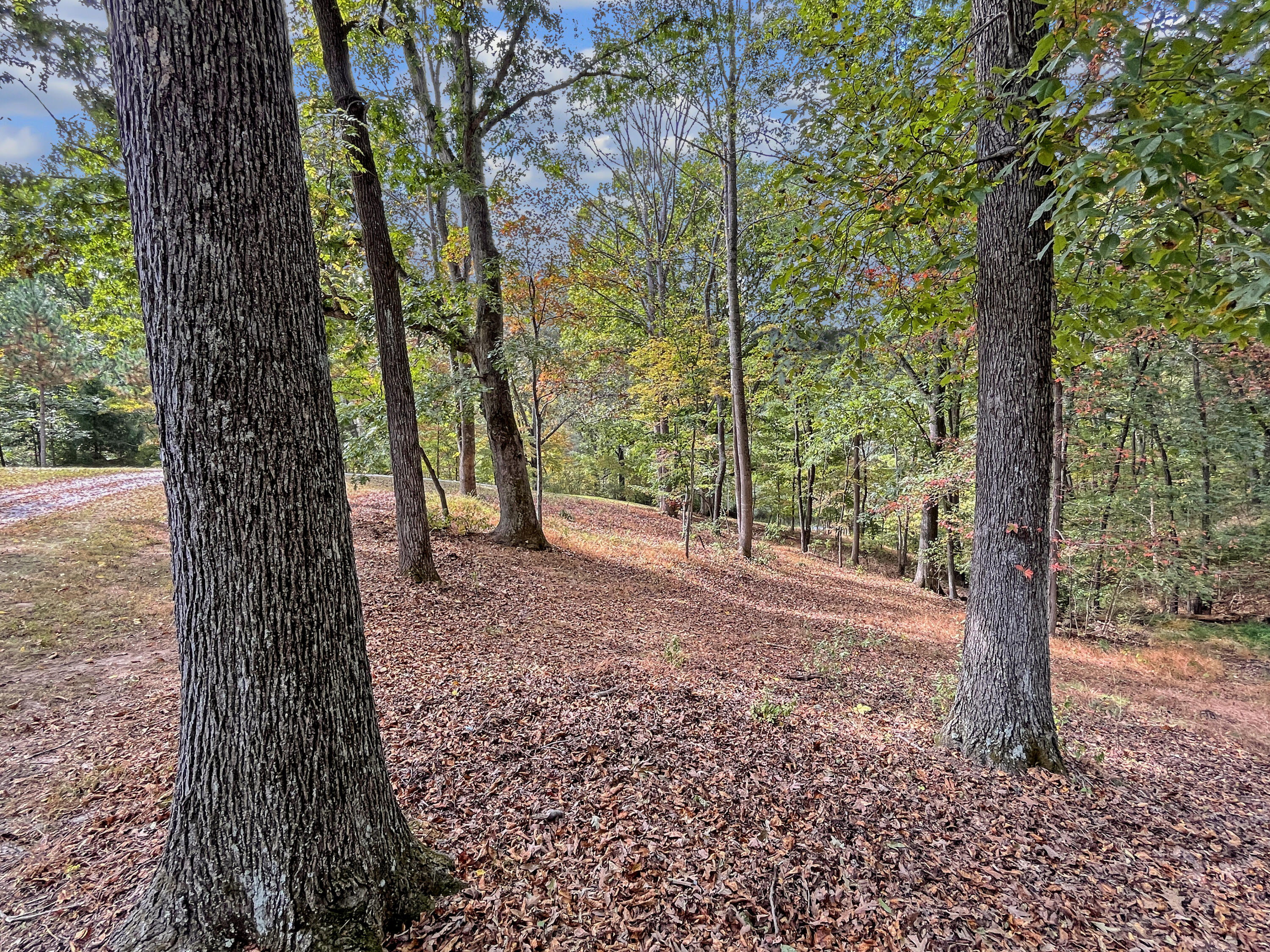 411 Hardbarger Road Buchanan, VA 24066 - Photo 73 of 82 411 Hardbarger RD