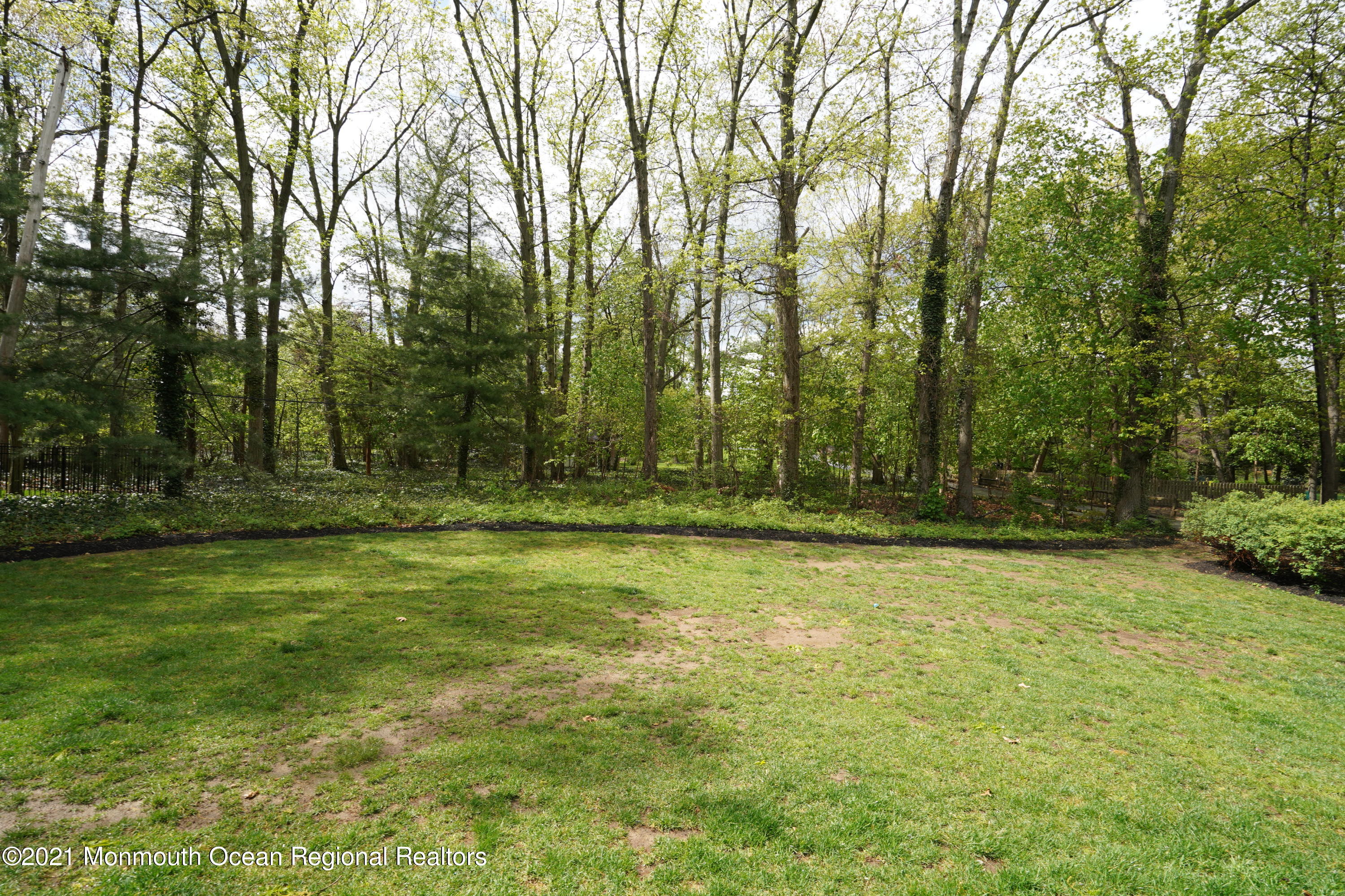82 Lewis Point Road Fair Haven, NJ 07704 - Photo 31 of 35 Lewis Point spring woods