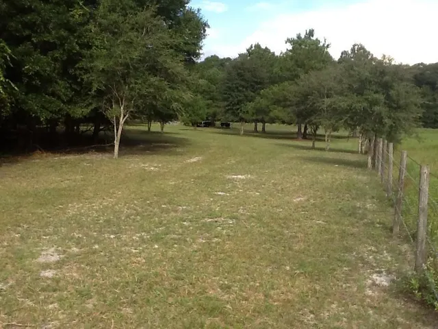 $140,000 | 0 Northeast Dusty Miller Avenue, Pinetta, FL 32350