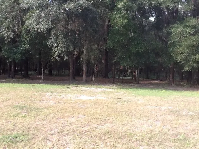 $140,000 | 0 Northeast Dusty Miller Avenue, Pinetta, FL 32350