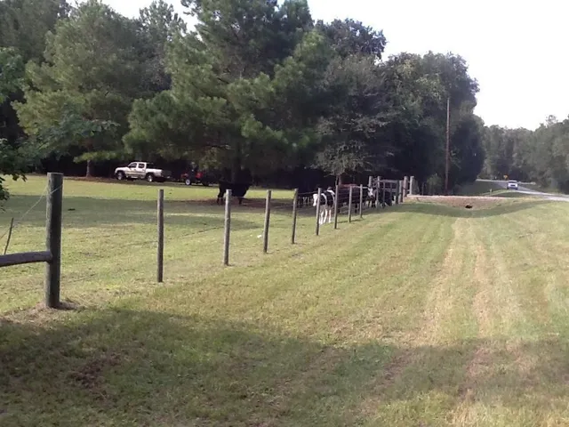 $140,000 | 0 Northeast Dusty Miller Avenue, Pinetta, FL 32350