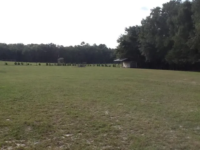 $140,000 | 0 Northeast Dusty Miller Avenue, Pinetta, FL 32350