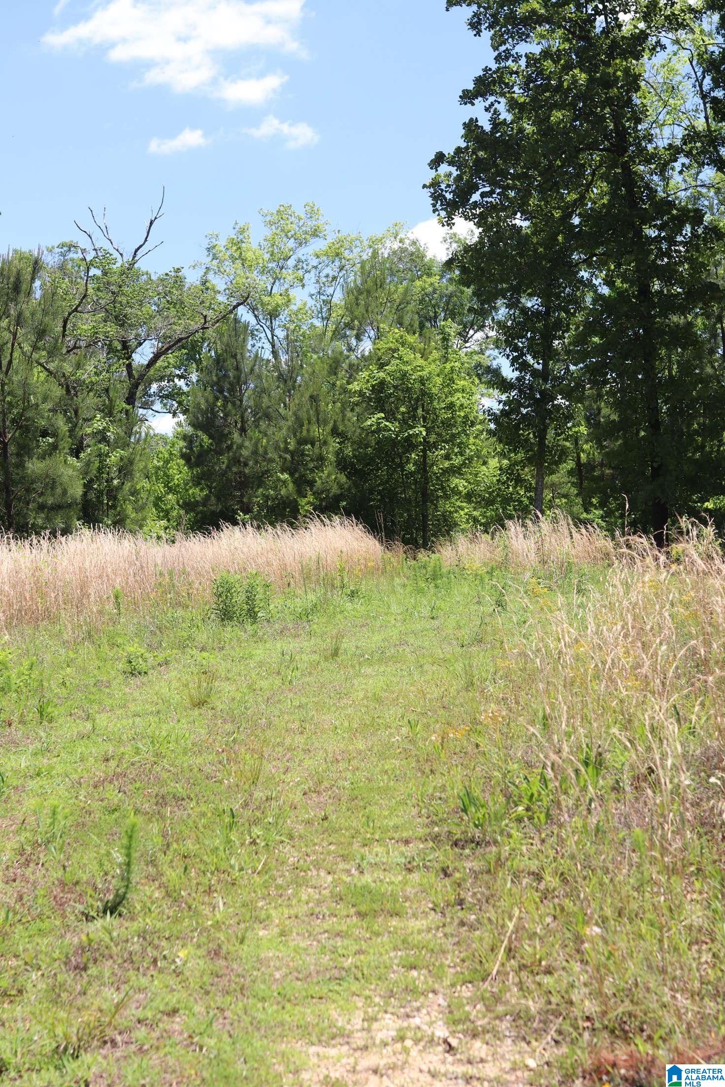 2930 Shocco Springs Road Talladega, AL 35160 - Photo 88 of 93