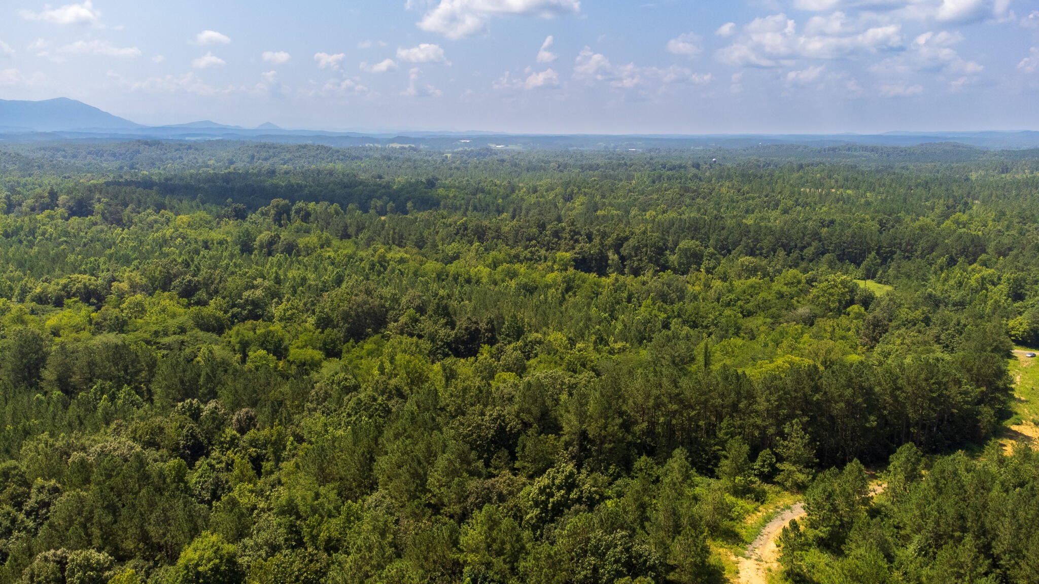 5945 Athens Road Delano, TN 37325 - Photo 20 of 40