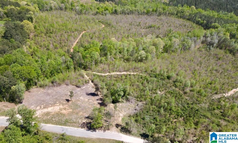 0 Landfill Road, Unit 1 Ashland, AL 36251 - Photo 2 of 15