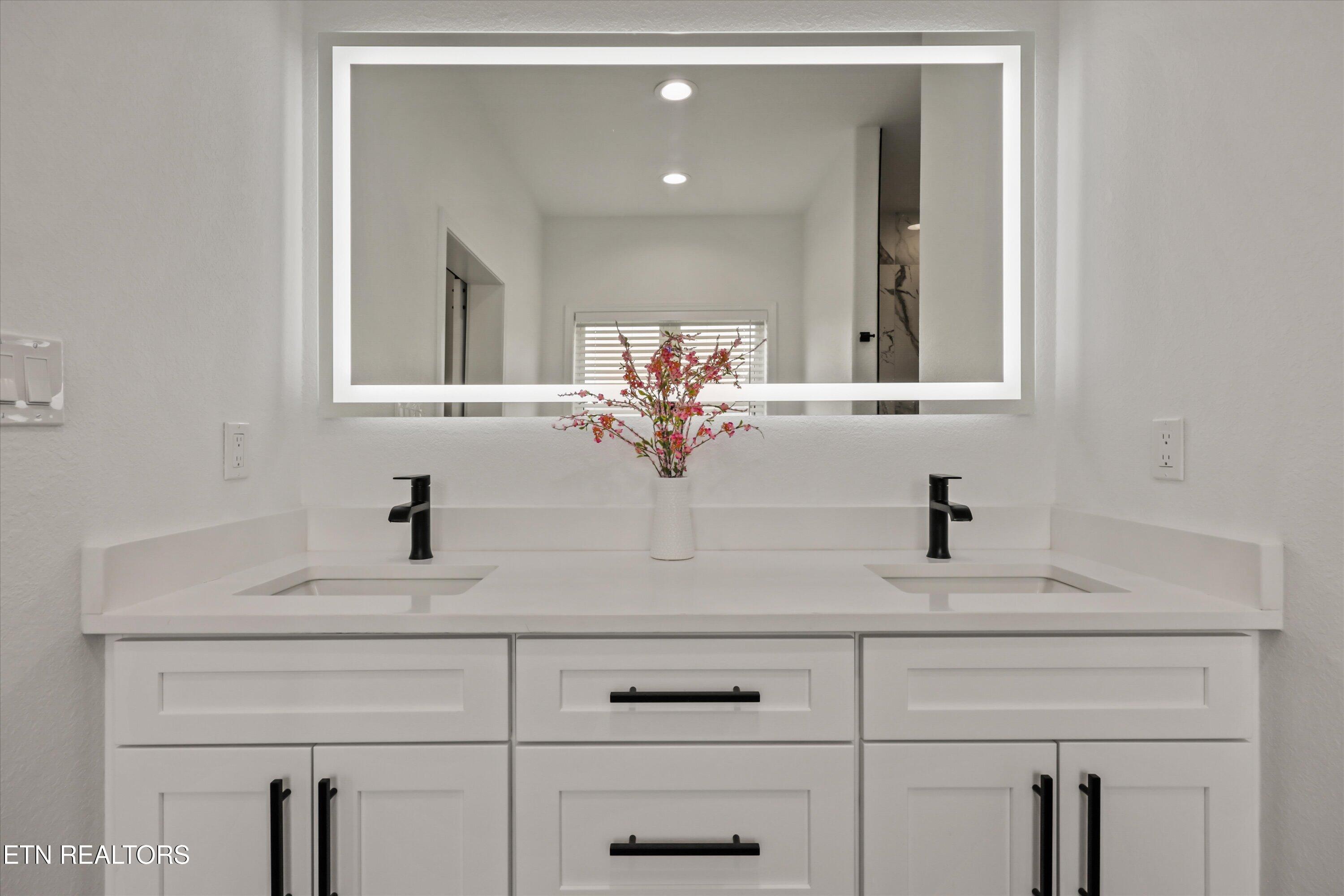 481 Masters Lane Bean Station, TN 37708 - Photo 25 of 58 Great lighting for make up