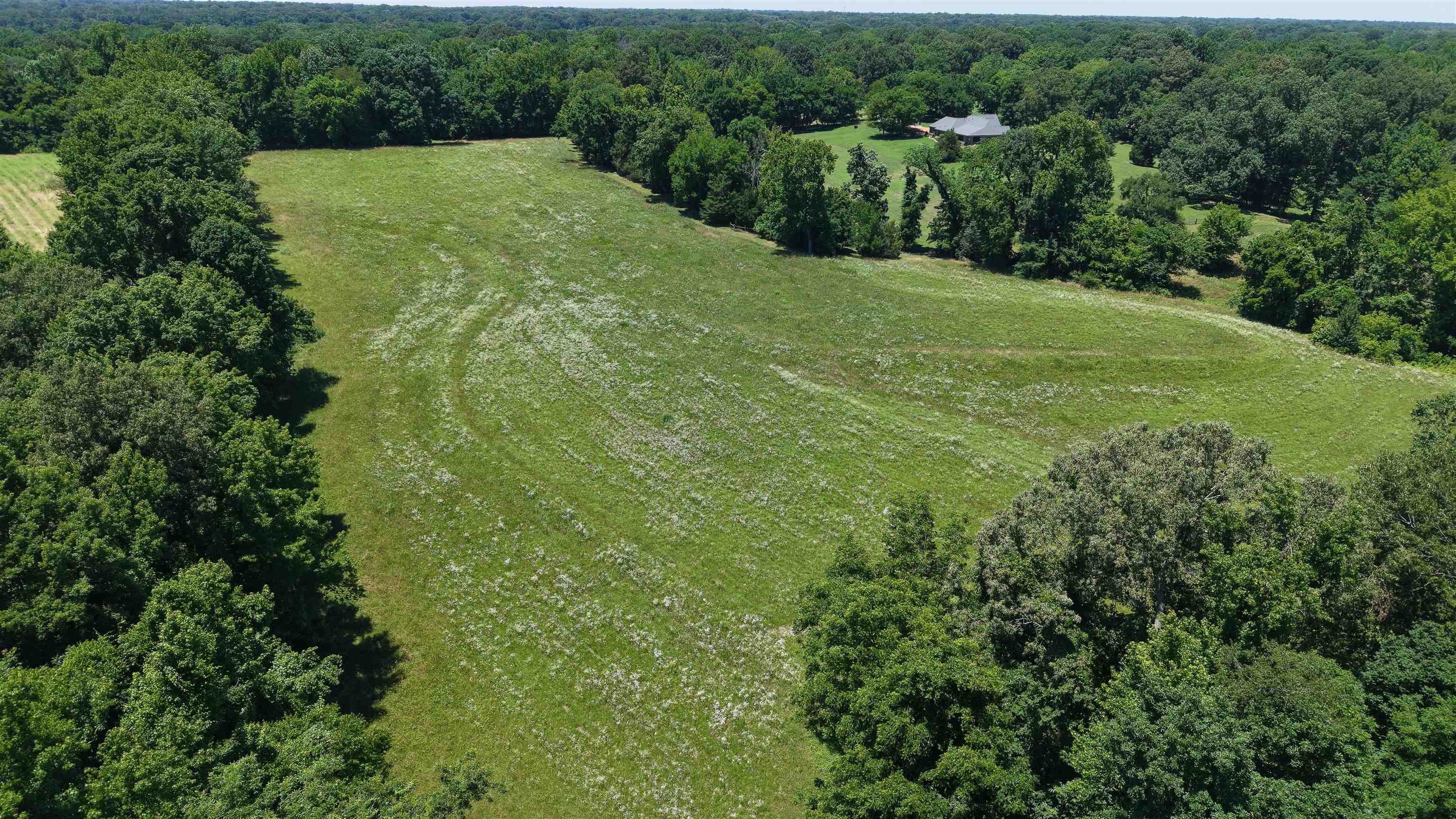 0 Holly Grove Road Covington, TN 38019 - Photo 15 of 22