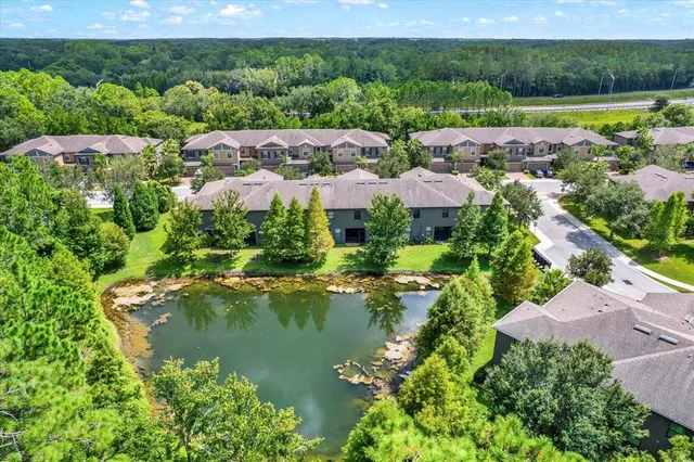 $400,000 | 17358 Old Tobacco Road, Lutz, FL 33558