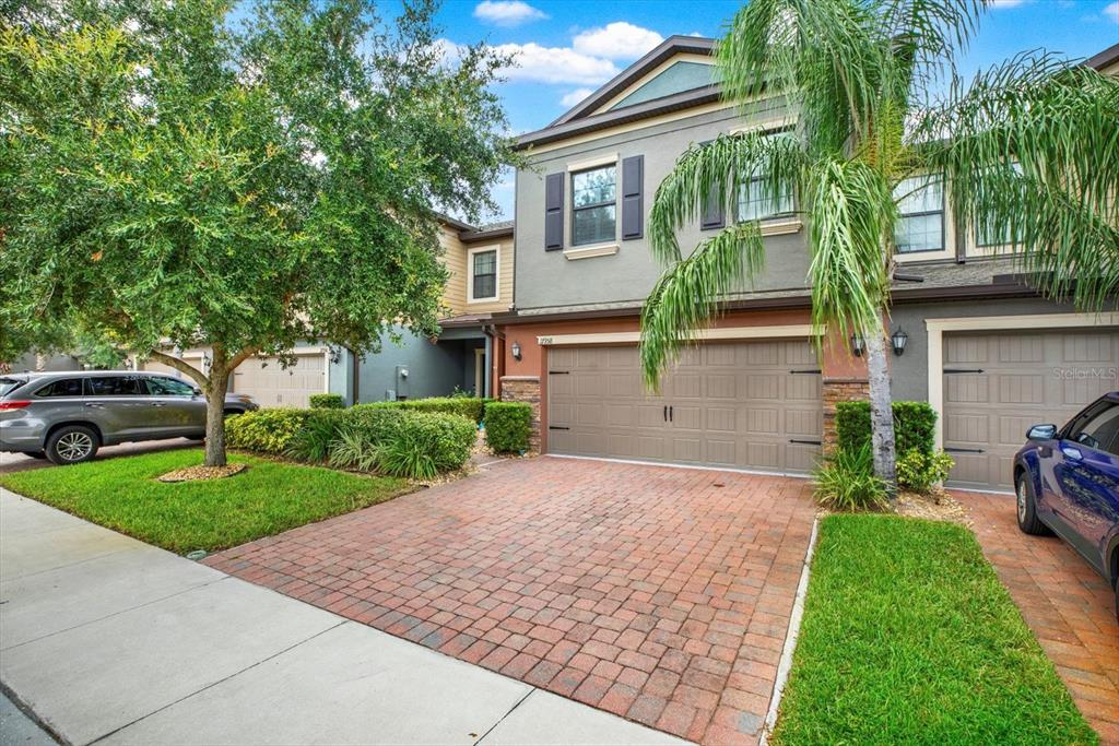 17358 Old Tobacco Road Lutz, FL 33558 - Photo 3 of 38