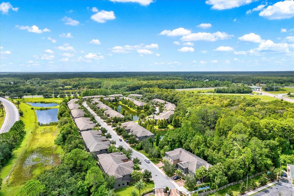 17358 Old Tobacco Road Lutz, FL 33558 - Photo 35 of 38