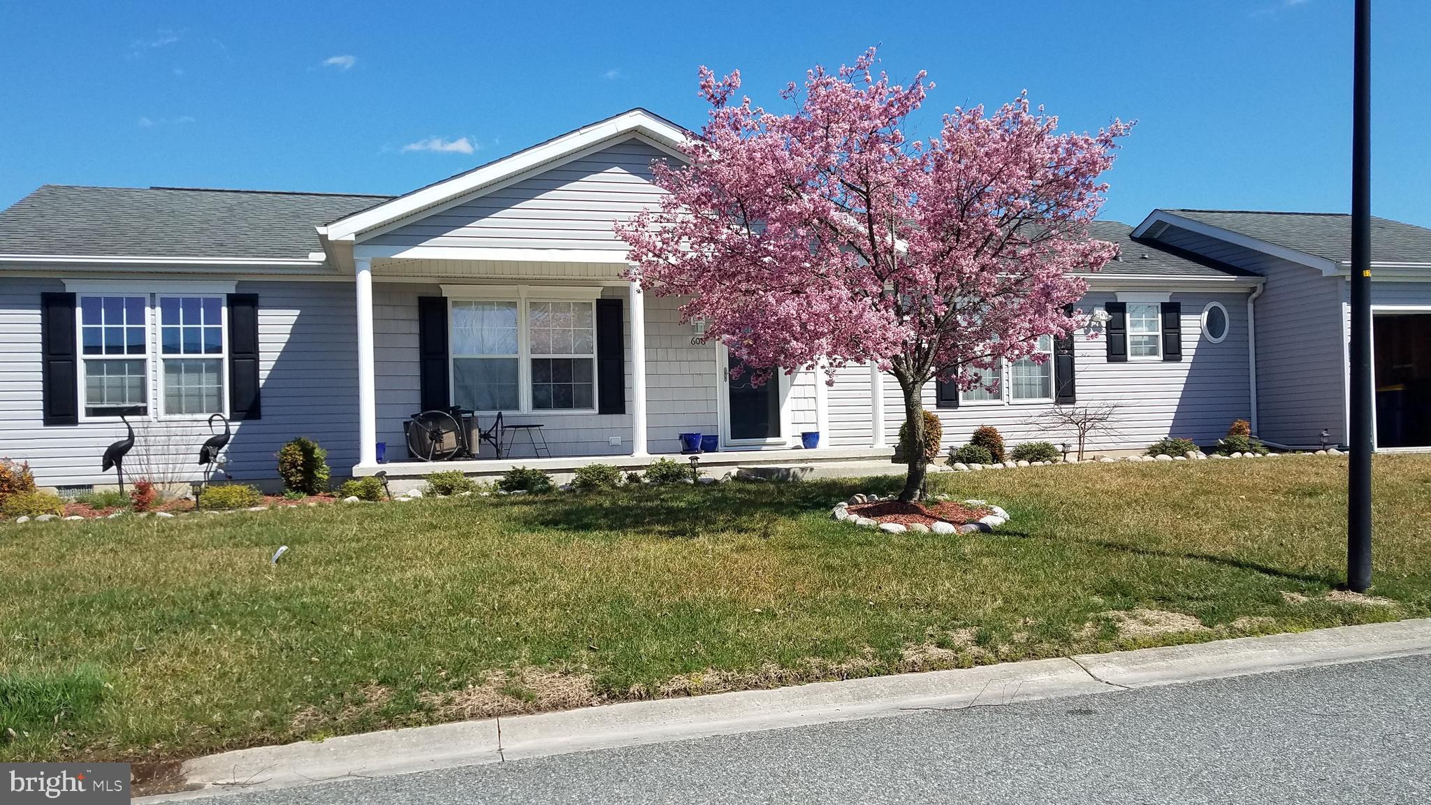Early Blooming Pear Tree