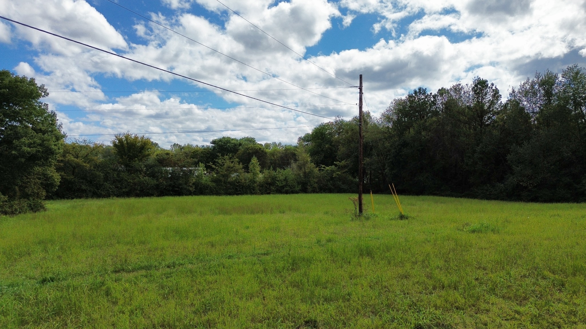 0 Poplar Ridge Road Chapmansboro, TN 37035 - Photo 4 of 12 Gallery Image 4