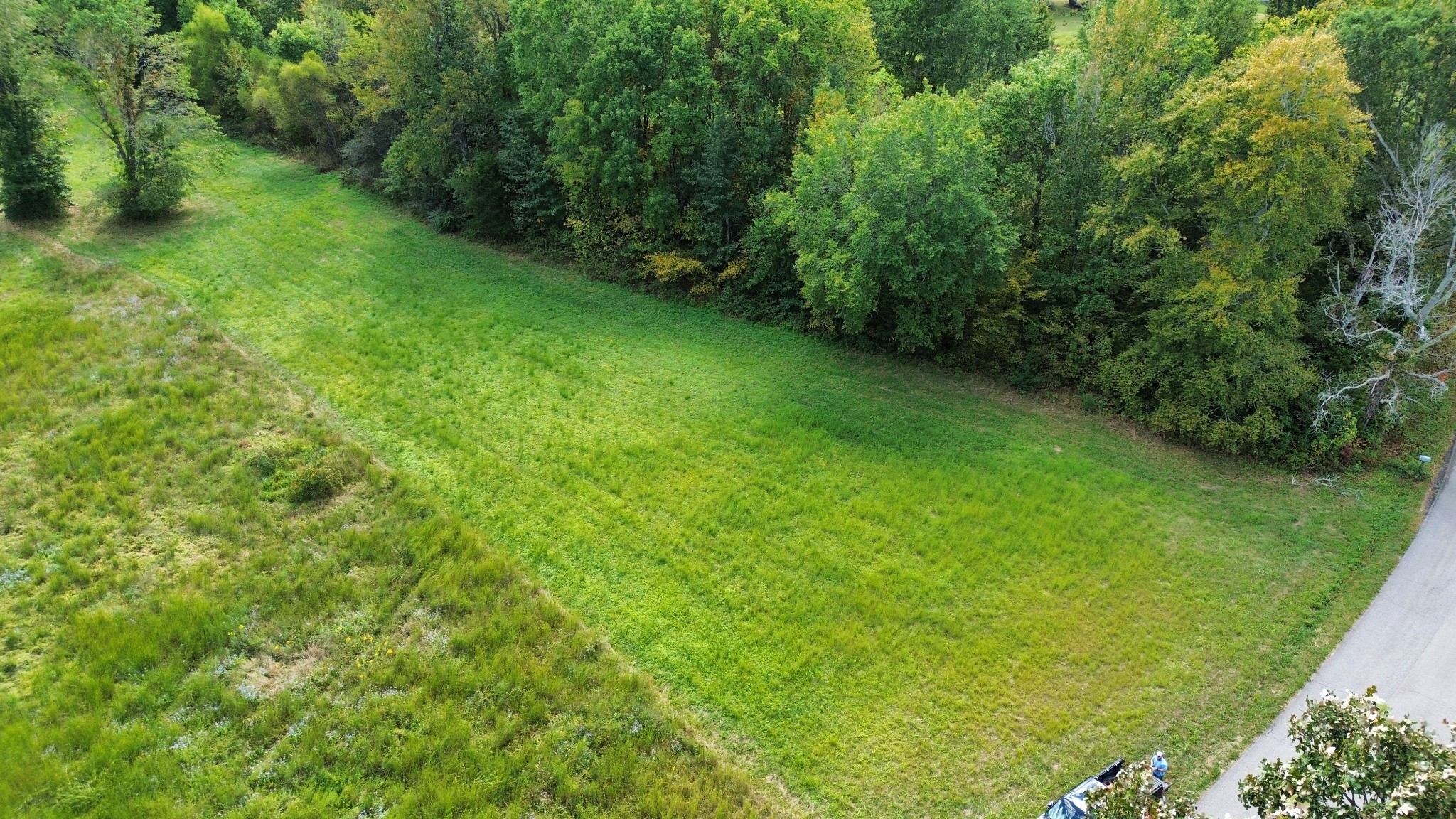 0 Poplar Ridge Road Chapmansboro, TN 37035 - Photo 6 of 12 Gallery Image 6
