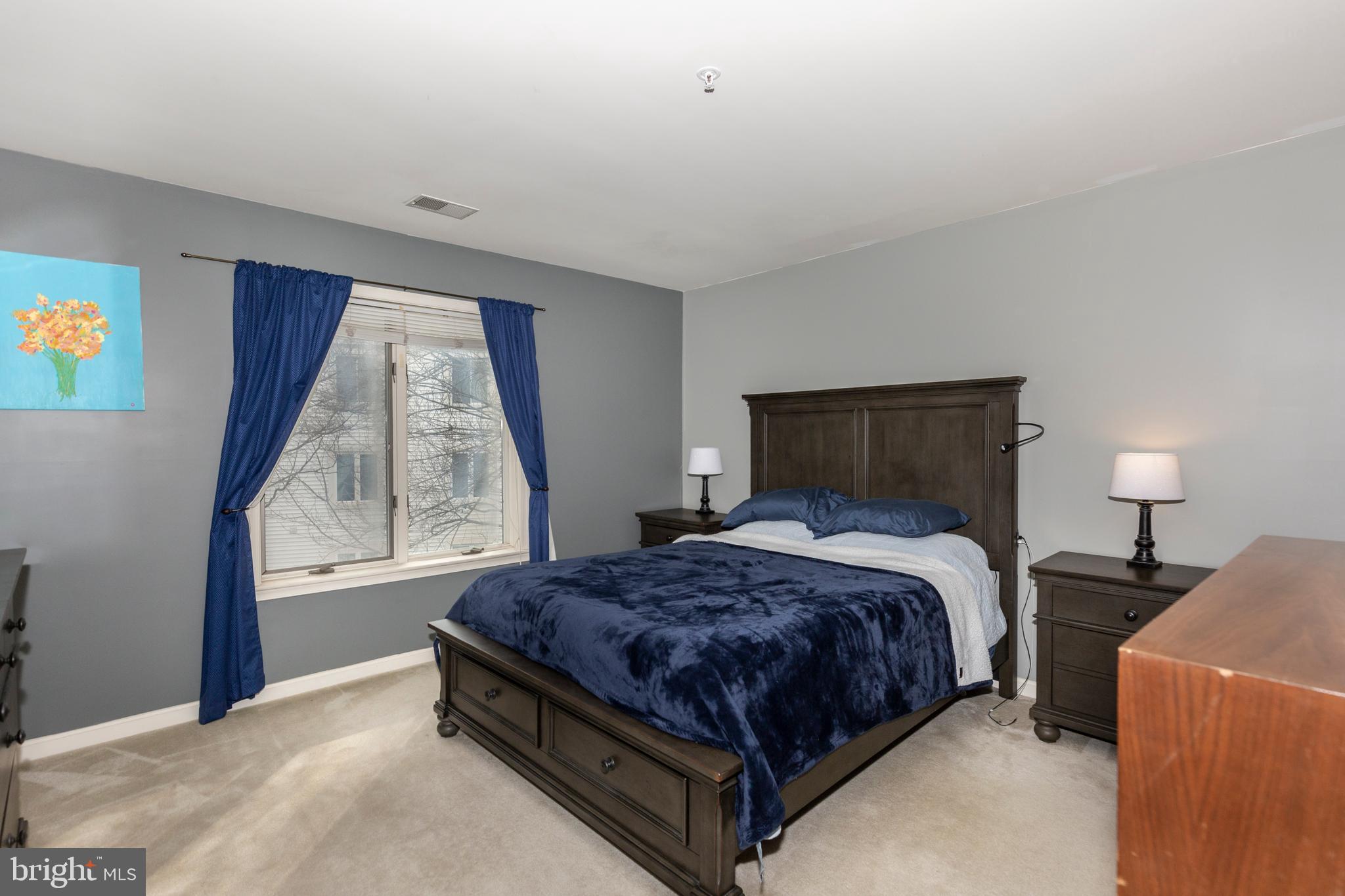 425 Pleasanton Road, Unit C23 Westminster, MD 21157 - Photo 17 of 48 Primary bedroom, spacious and bright!