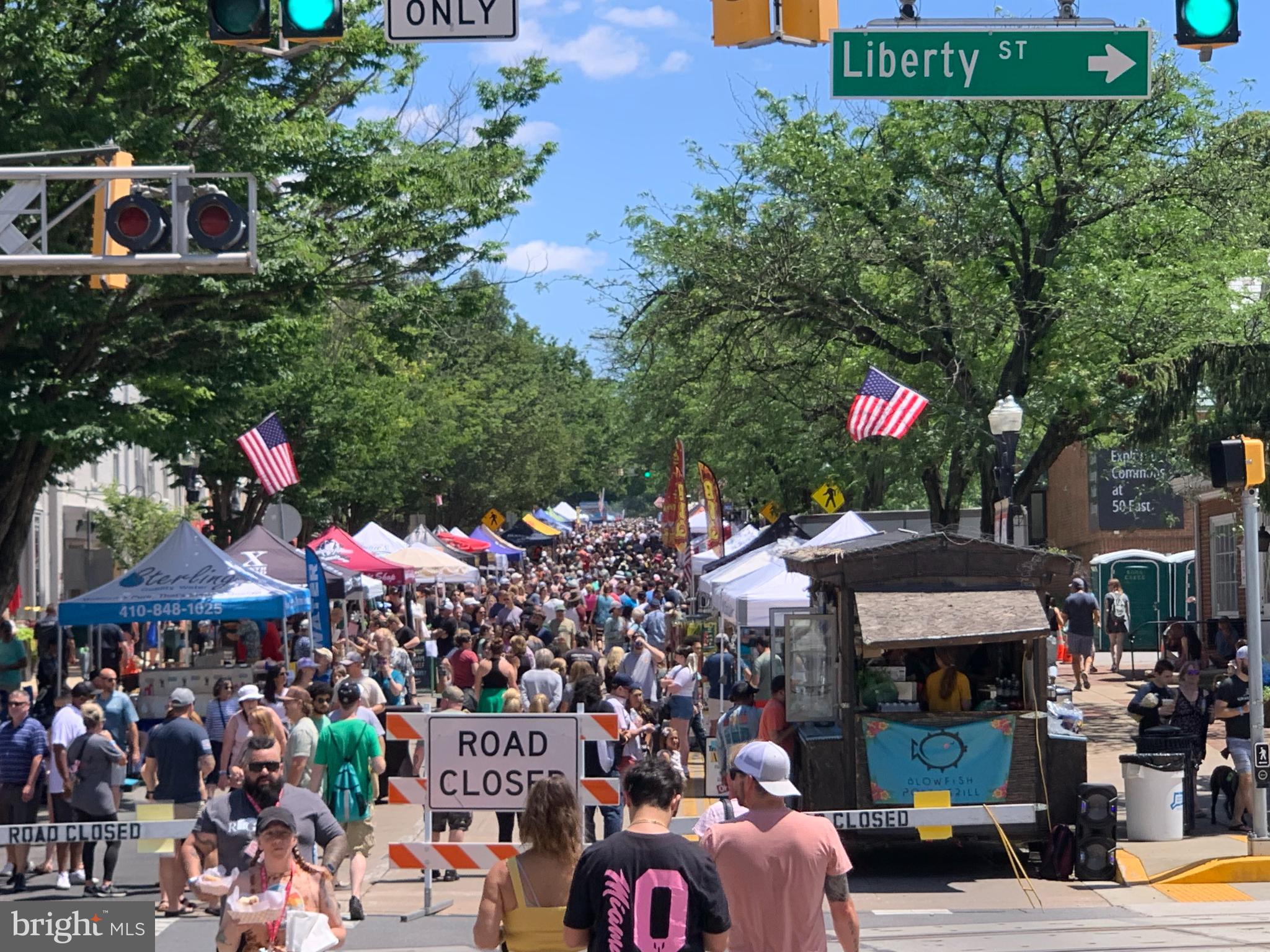425 Pleasanton Road, Unit C23 Westminster, MD 21157 - Photo 42 of 48 City festivals, walking distance from condo!